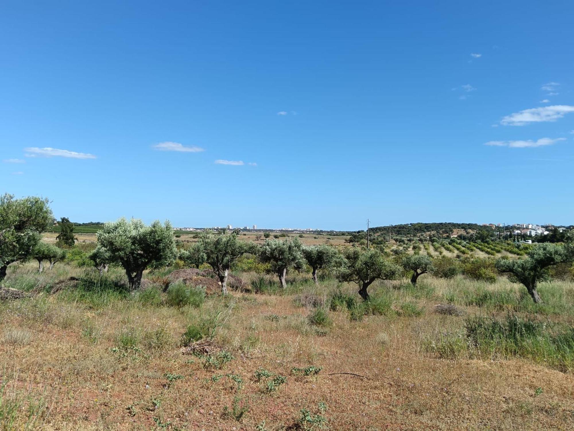 Quinta da Fornalha Villa Castro Marim Eksteriør bilde